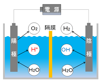 槽を隔膜で2つに仕切り水を電気分解する絵