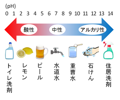 身の周りの色々なpHの具体例