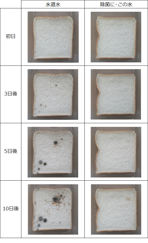 防カビ効果の実験結果表