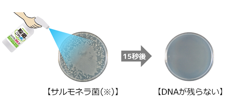 「除菌に・この水」噴霧後は菌が残らない絵