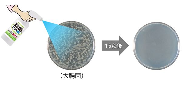 微酸性電解水を噴霧して15秒後に除去されている大腸菌の試験写真+イラスト