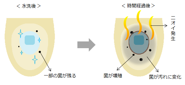 便器の中に残った菌が汚れに変化しニオイが発生するイラスト